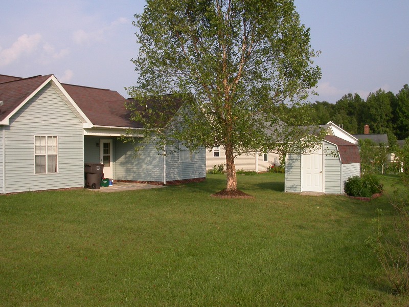 Rear View with Shed